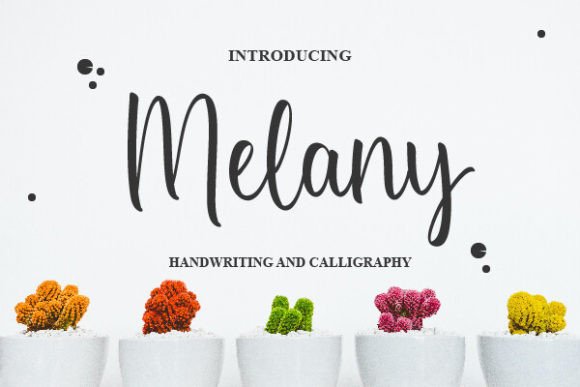 Discover Melany: The Handwritten Font with Bold Character
